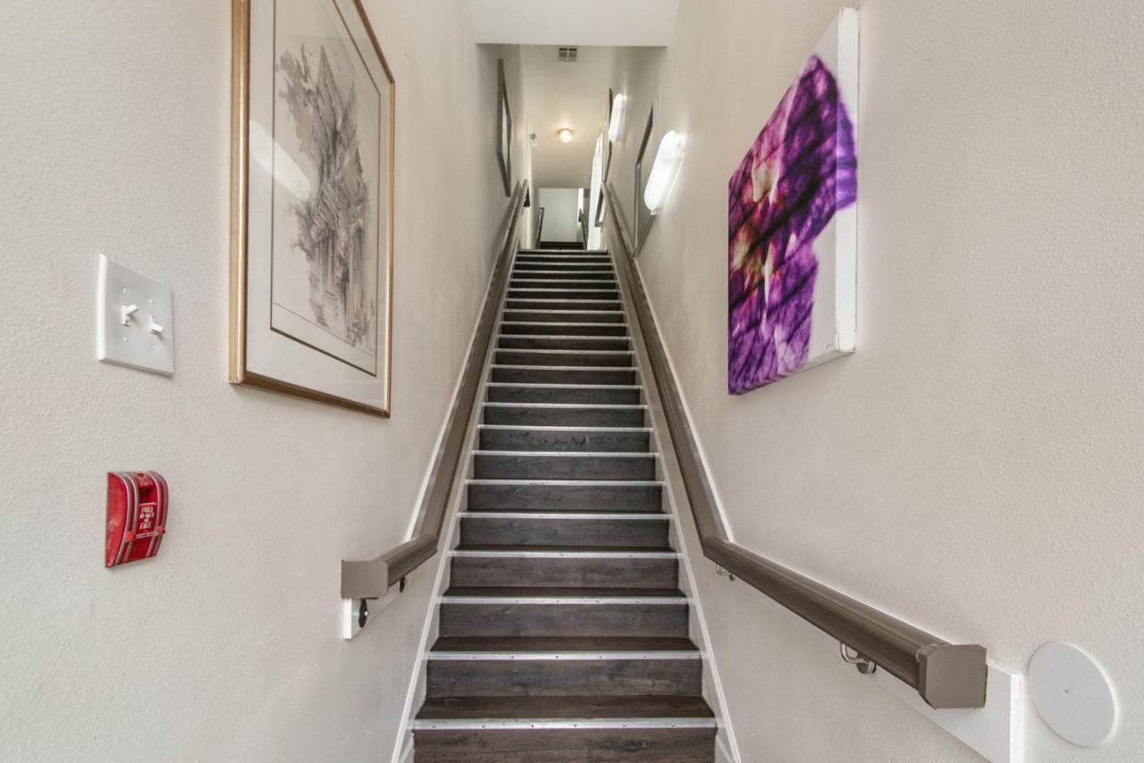 Breathtaking Near French Quarter Apartment